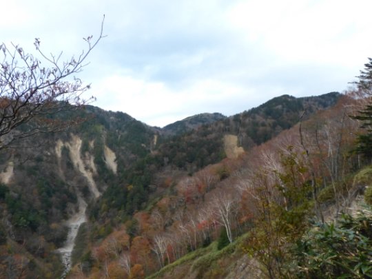 画像15